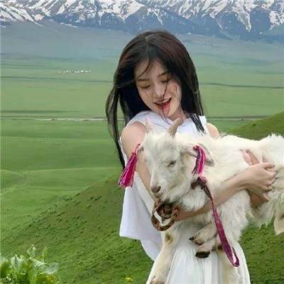 英雄美人封面